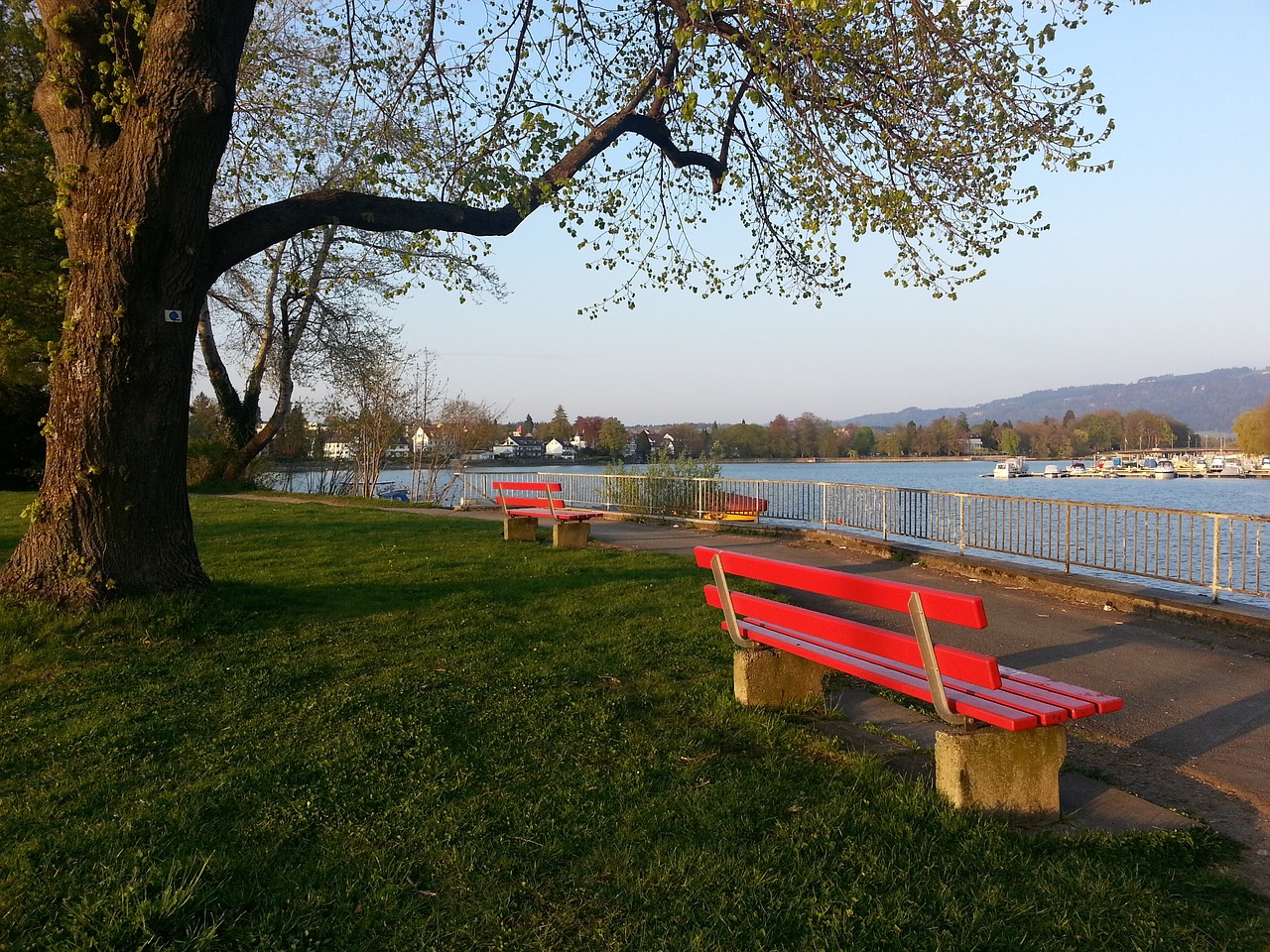 关键先生！沃尔什进入首发后&绿军近10战8胜2负